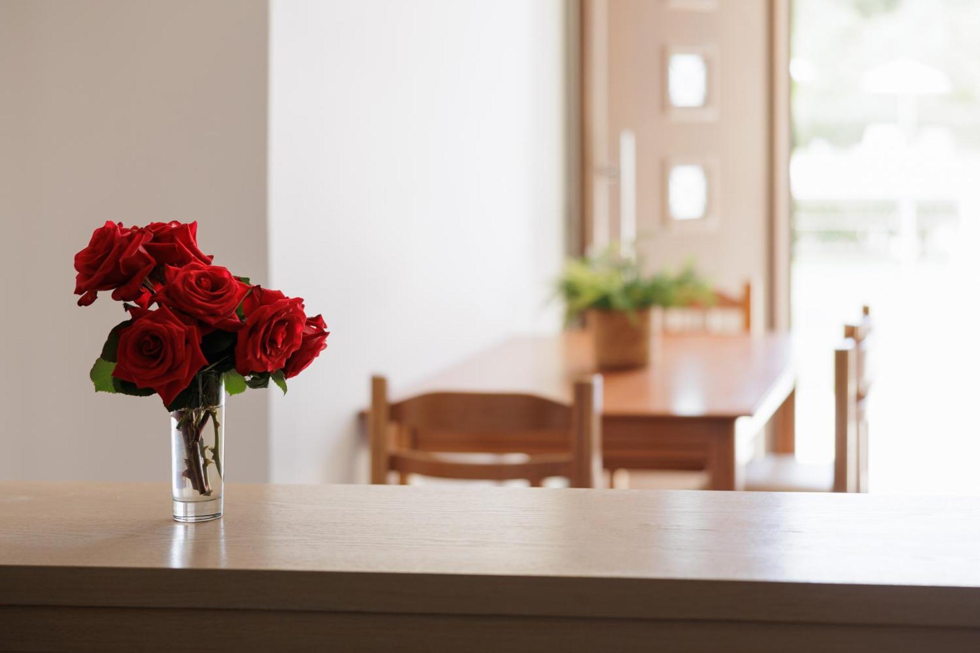 Santos Luxury Apartments 다시아 객실 사진