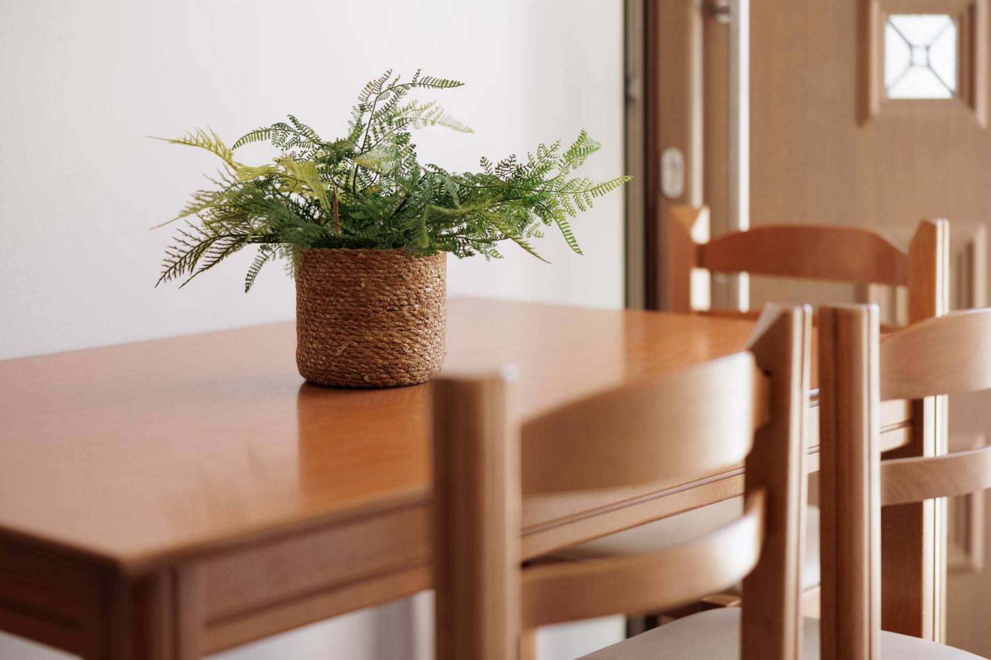 Santos Luxury Apartments 다시아 객실 사진